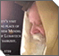 Return of the Souls: Yechidus