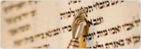Shabbat Services